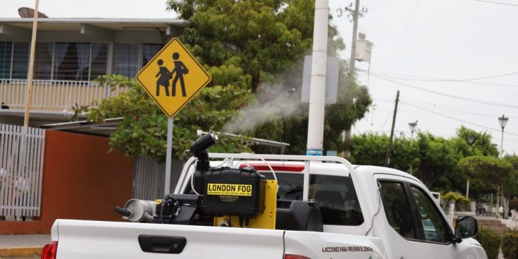 Protegen contra el dengue a 555 mil habitantes del estado de Colima con más de 160 mil acciones