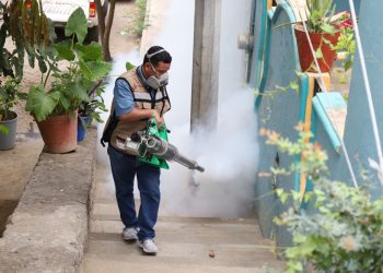 Con acciones prioritarias, Salud Colima extiende control larvario emergente en 6 municipios del estado