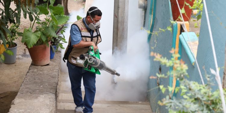 Con acciones prioritarias, Salud Colima extiende control larvario emergente en 6 municipios del estado