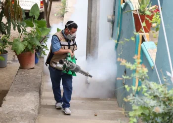 Con acciones prioritarias, Salud Colima extiende control larvario emergente en 6 municipios del estado