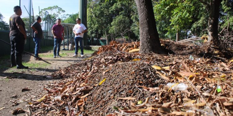 Incode continúa la limpieza en unidades deportivas de Colima y Villa de Álvarez