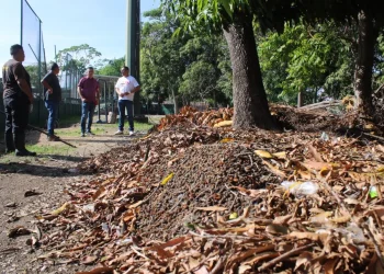 Incode continúa la limpieza en unidades deportivas de Colima y Villa de Álvarez