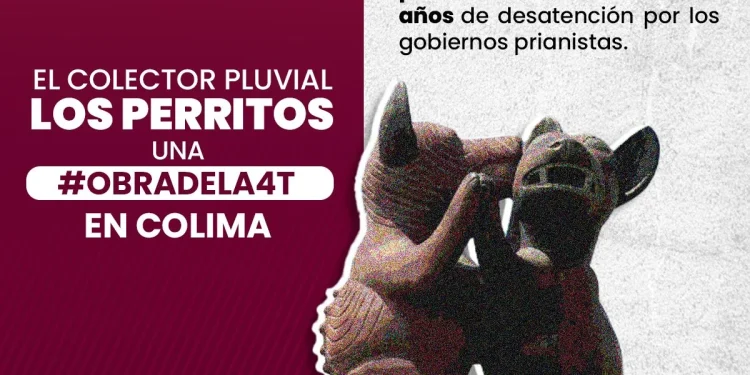 EL COLECTOR PLUVIALLOS PERRITOSUNA