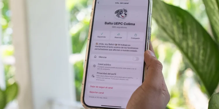 Canal de difusión de ‘Balto’ en WhatsApp, también alerta accidentes viales en autopistas de Colima