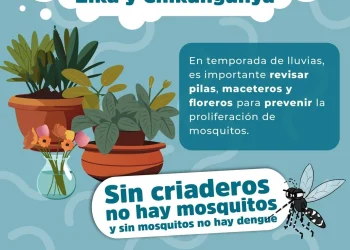 Acciones contra el Dengue, Zika y Chikungunya “Gobierno de Colima”
