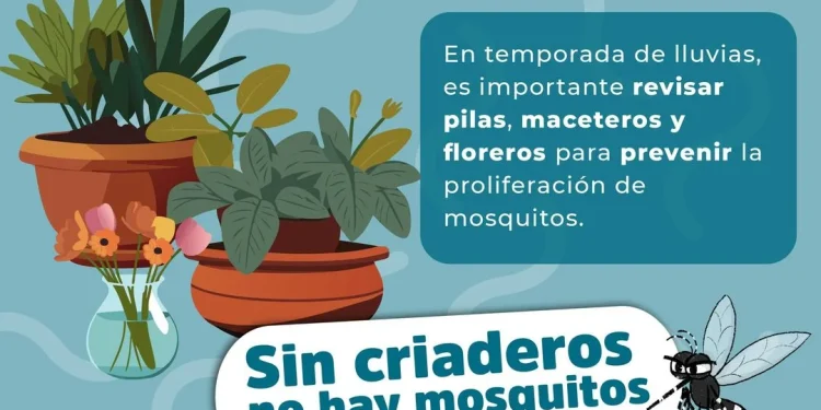 Acciones contra el Dengue, Zika y Chikungunya “Gobierno de Colima”