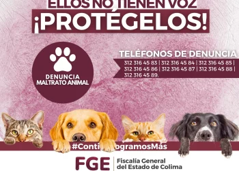 Ellos no tienen voz ¡protegelos!