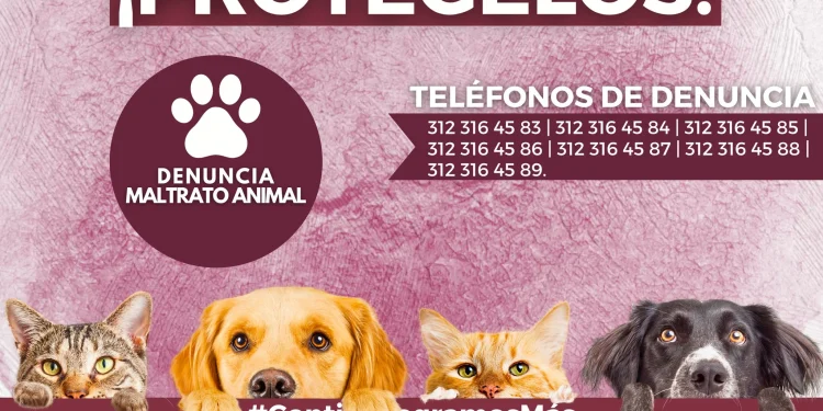 Ellos no tienen voz ¡protegelos!