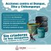 Acciones contra el Dengue, Zika y Chinkungunya