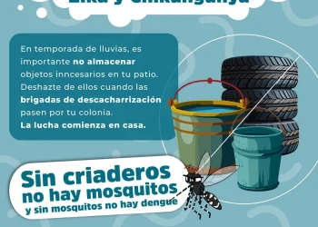 Acciones contra el Dengue, Zika y Chinkungunya