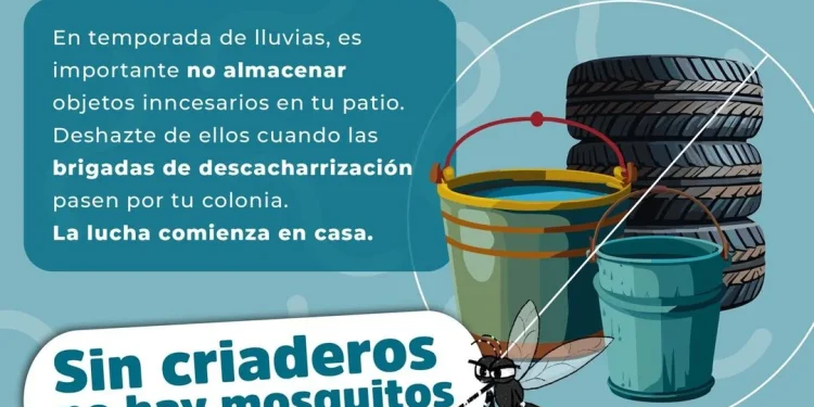 Acciones contra el Dengue, Zika y Chinkungunya