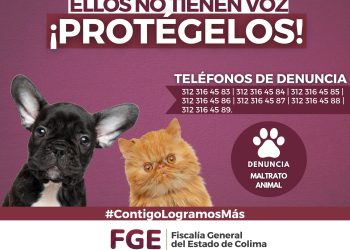 ELLOS NO TIENEN VOZ ¡PROTÉGELOS! FGE