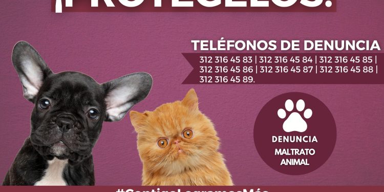 ELLOS NO TIENEN VOZ ¡PROTÉGELOS! FGE