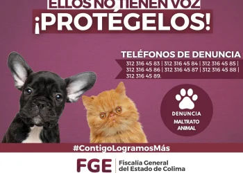 ELLOS NO TIENEN VOZ ¡PROTÉGELOS! FGE