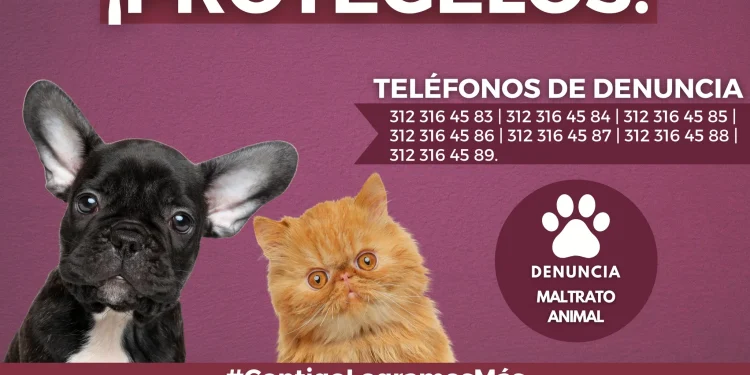 ELLOS NO TIENEN VOZ ¡PROTÉGELOS! FGE