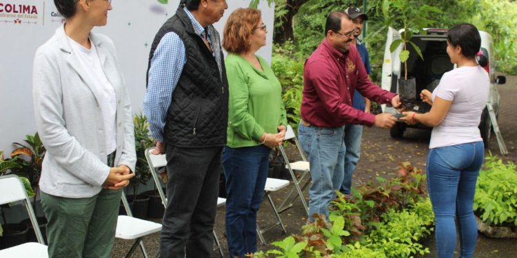 Gobierno Colima inició campaña de donación de plantas de café y arboles forestales