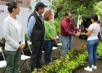 Gobierno Colima inició campaña de donación de plantas de café y arboles forestales