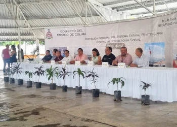 IEEA Colima entrega 7 certificados a personas privadas de su libertad