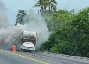 UEPC reporta incendio de autobús en autopista Colima-Manzanillo; no hay personas lesionadas