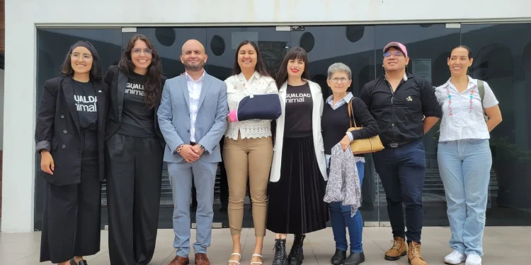 Congreso reforma Ley para garantizar y proteger derechos de animales para abasto