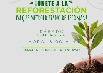 Seidum e Imades invitan a reforestar el Parque Metropolitano de Tecomán, este sábado