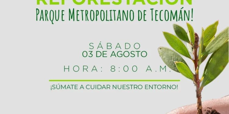 Seidum e Imades invitan a reforestar el Parque Metropolitano de Tecomán, este sábado