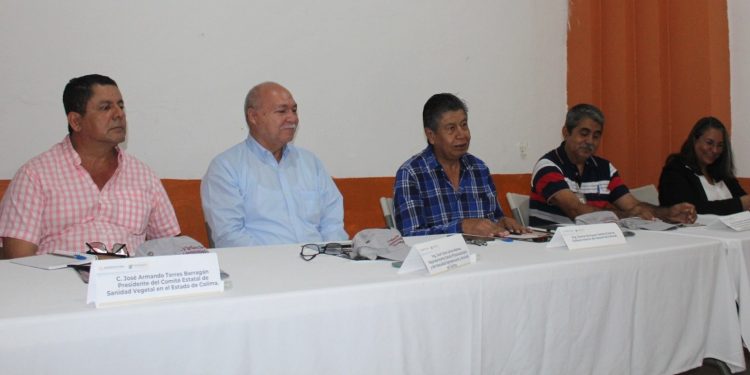 Colima se caracteriza por la inocuidad y calidad fitosanitaria de sus cultivos: Subseder