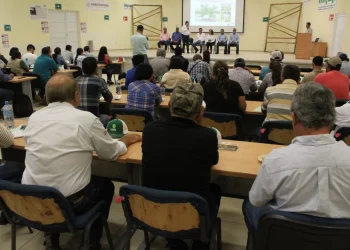Inició en Colima el curso ‘Manejo Integrado del Limón Mexicano con HLB’