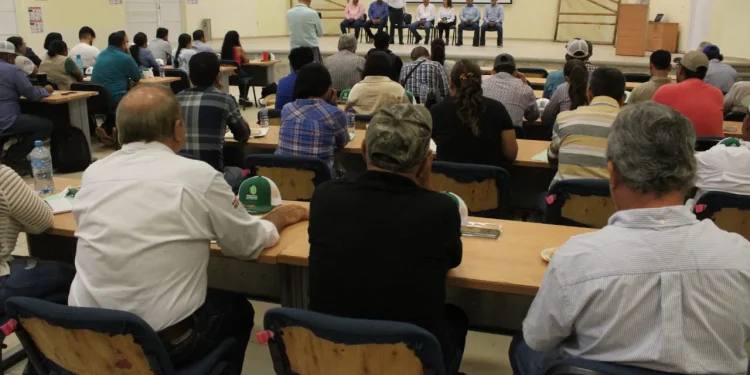 Inició en Colima el curso ‘Manejo Integrado del Limón Mexicano con HLB’