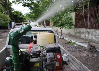 Ciclos de nebulización contra dengue, zika y chikungunya continúan en el estado: Salud Colima
