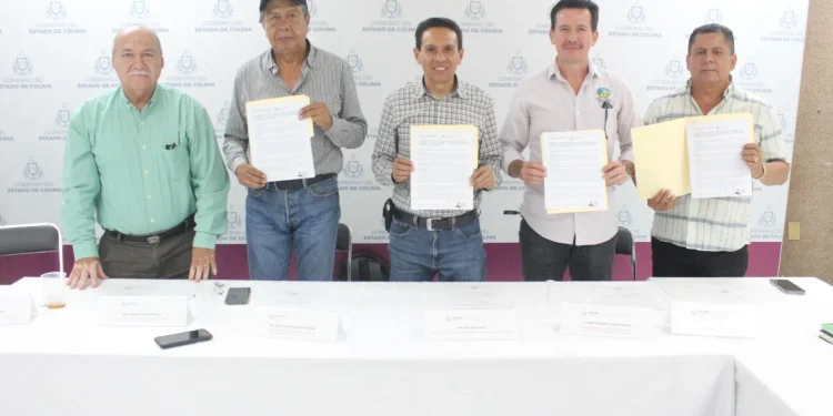 Región aguacatera ‘Guardián del Volcán’ es reconocida como zona libre de plagas