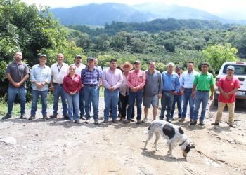 En Colima refuerzan acciones para certificación como Zona Libre de Plagas del Aguacate