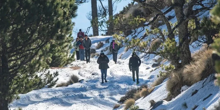 Subsectur Colima invita a formarse como guía de turismo especializado en excursionismo