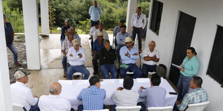 Inició verificación para reconocer al Guardián del Volcán como zona libre de plagas