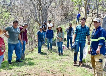 Sembrando Vida realizó preparativos de terreno y plantas para la reforestación del Cerro del Toro