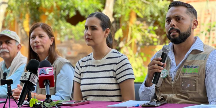 Invitan a reforestar el Cerro del Toro, el próximo domingo 11 de agosto