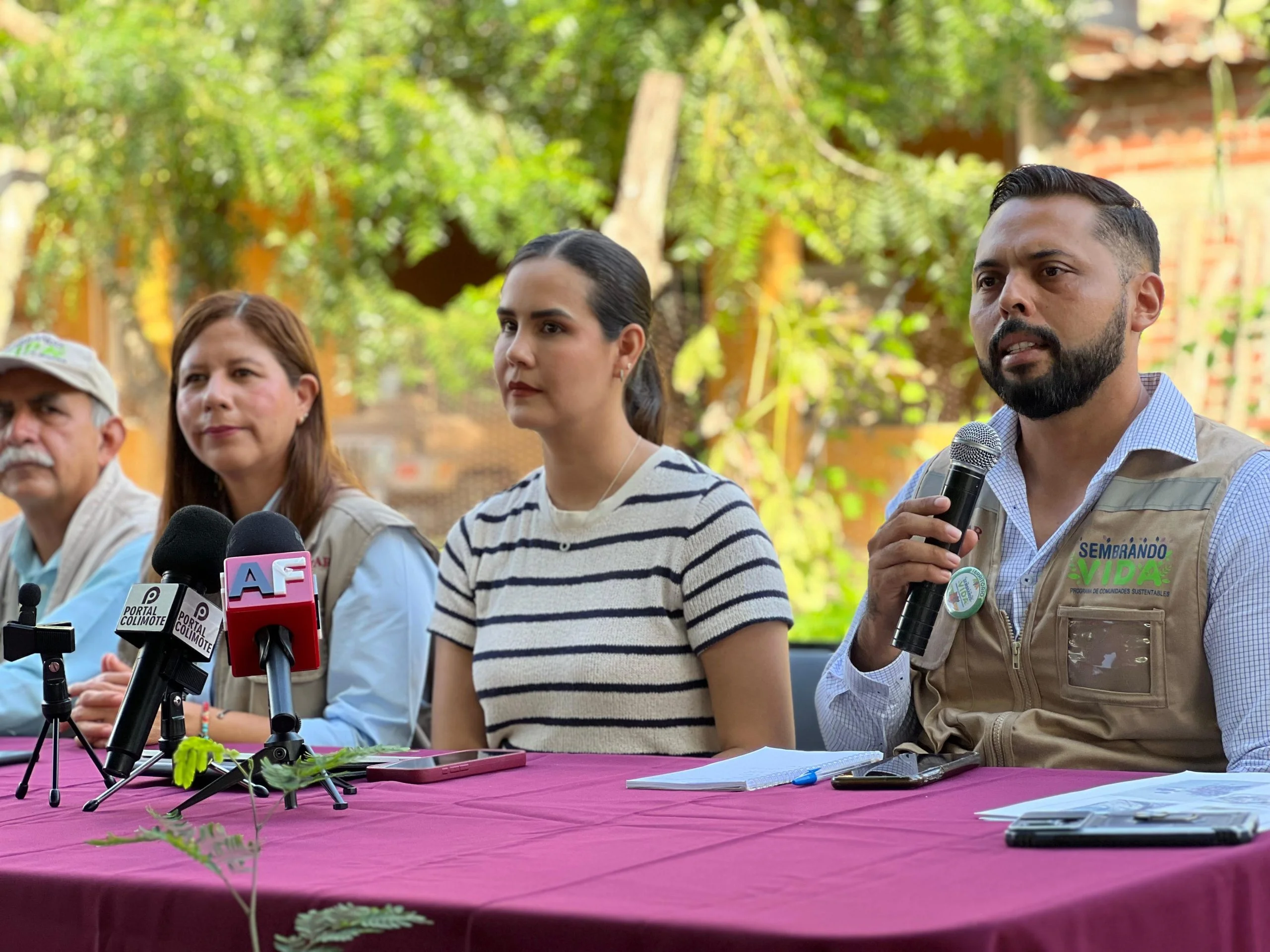 Invitan a reforestar el Cerro del Toro, el próximo domingo 11 de agosto