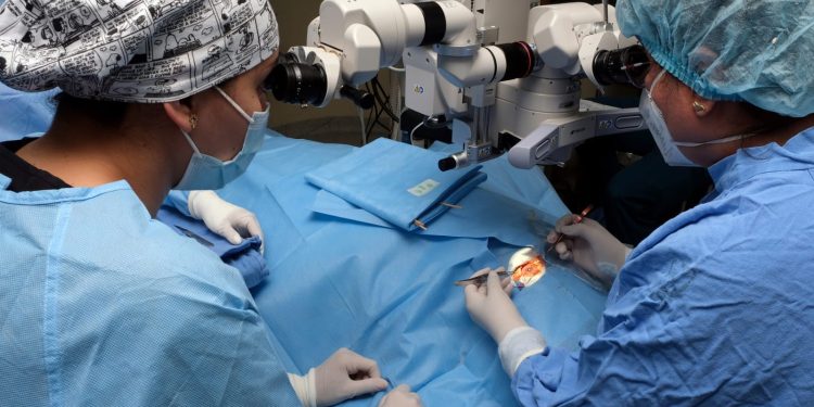 Trasplante de órgano, una alternativa terapéutica del IMSS para devolver calidad de vida al derechohabiente