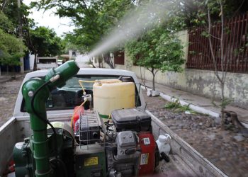 Salud Colima fumigará contra dengue en 5 municipios este jueves; en Manzanillo se hará en 44 colonias
