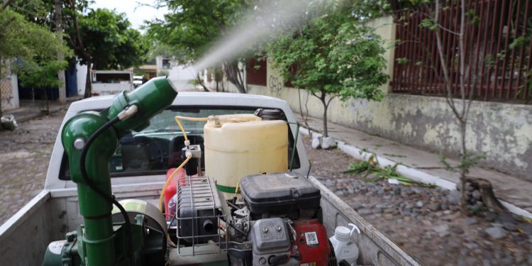 Salud Colima fumigará contra dengue en 5 municipios este jueves; en Manzanillo se hará en 44 colonias