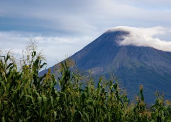 Imades Colima inaugura la exposición fotográfica ‘Milpa, saberes y vida’, en La Campana