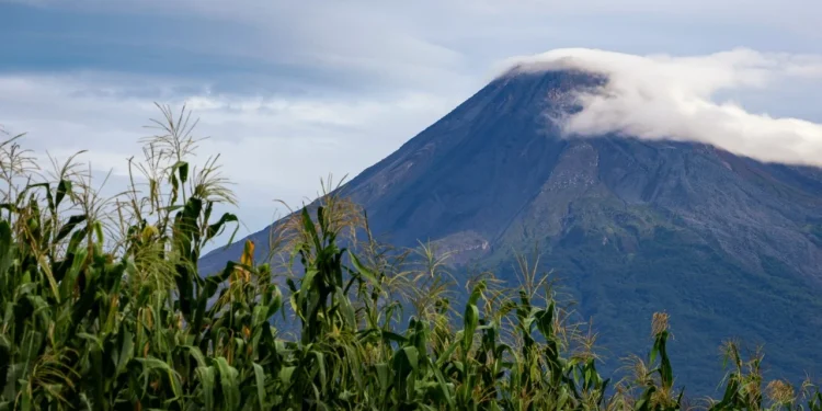 Imades Colima inaugura la exposición fotográfica ‘Milpa, saberes y vida’, en La Campana