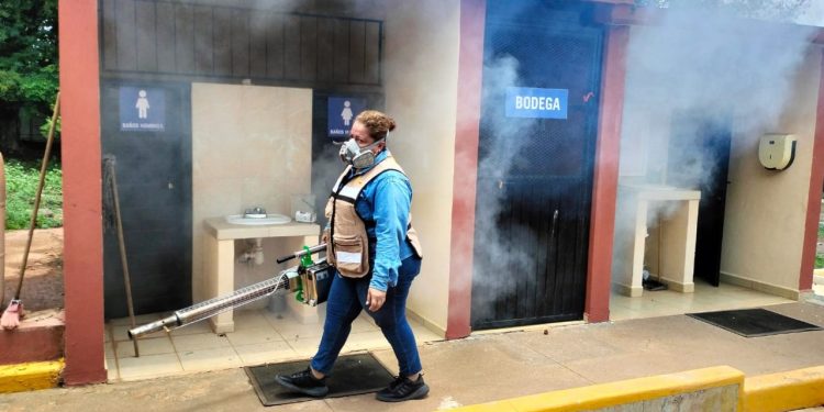 Secretaría de Salud realiza nebulización contra el dengue hoy lunes en 41 colonias de Colima, Tecomán y Manzanillo