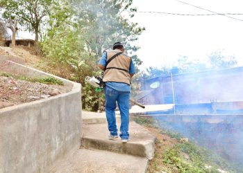 Este jueves, Salud Colima fumiga en 5 municipios contra el dengue; incluye Comala y Coquimatlán