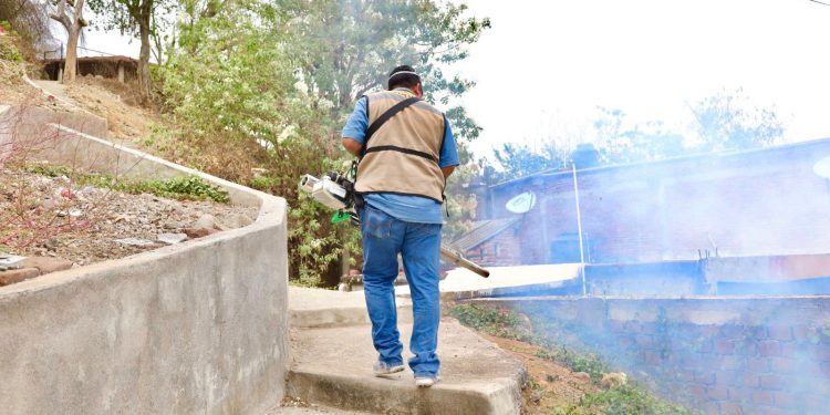 Este jueves, Salud Colima fumiga en 5 municipios contra el dengue; incluye Comala y Coquimatlán