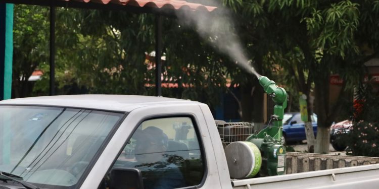 Salud fumigará contra el dengue en los 3 municipios más grandes del Estado de Colima y en Minatitlán