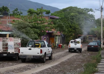 Este jueves fumiga Salud Colima contra el dengue en los 5 municipios de riesgo