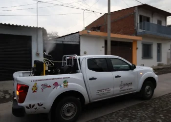 Fumigación contra dengue este miércoles será en Colima, Manzanillo y Armería: Secretaría de Salud