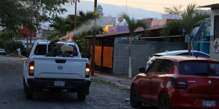 Salud Colima fumiga contra el dengue este viernes en 5 municipios; incluye centro de Manzanillo y de Cuauhtémoc