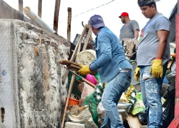 Salud Colima hará control larvario en 15 colonias y localidades de 6 municipios contra el dengue